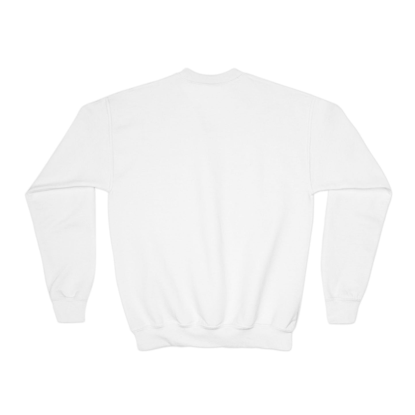 Youth Crewneck Sweatshirt - Vintage-Inspired Graphic Sweatshirt for Teens, Casual Wear, Gift for Birthdays & Holidays, Cozy Outfit