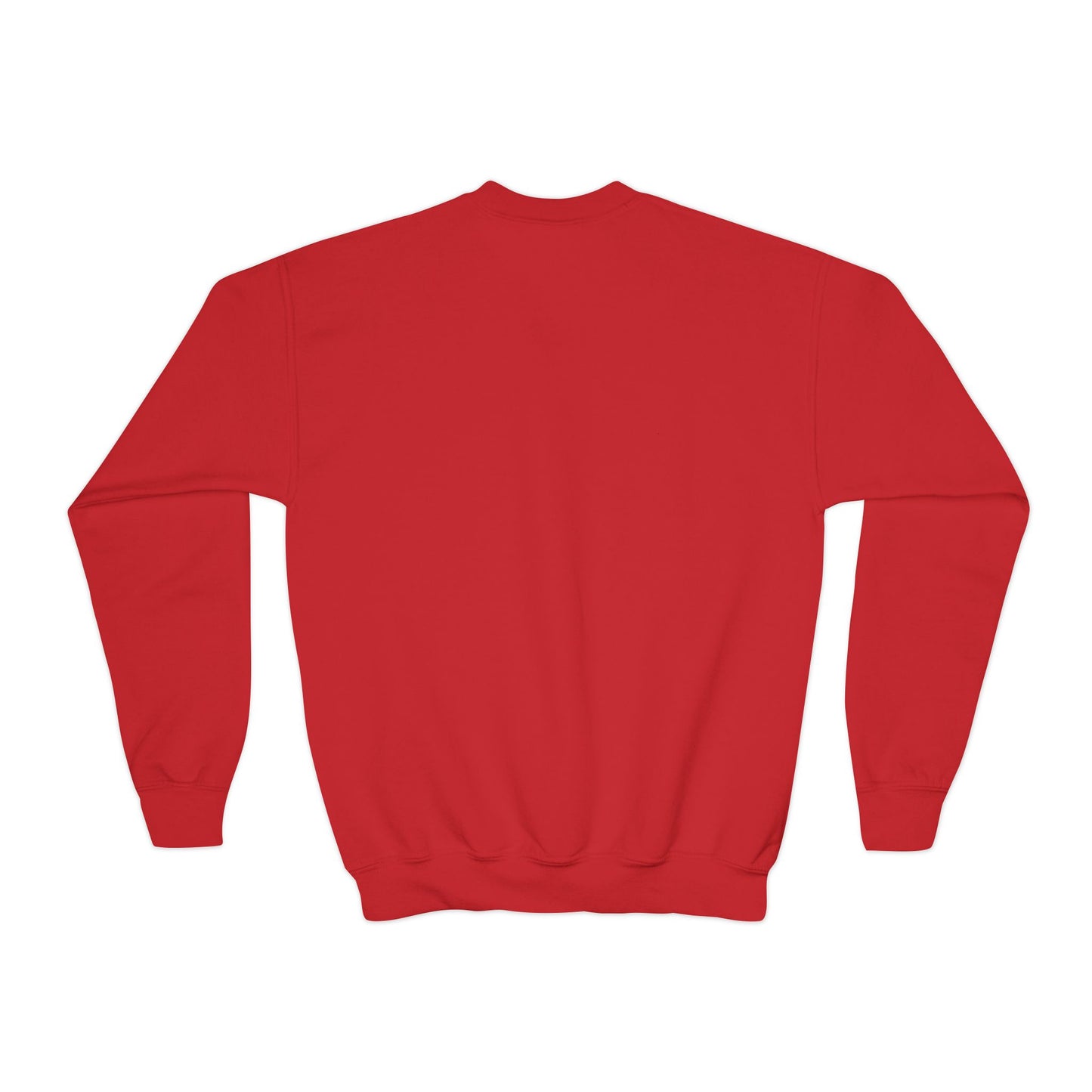 Youth Crewneck Sweatshirt - Vintage-Inspired Graphic Sweatshirt for Teens, Casual Wear, Gift for Birthdays & Holidays, Cozy Outfit